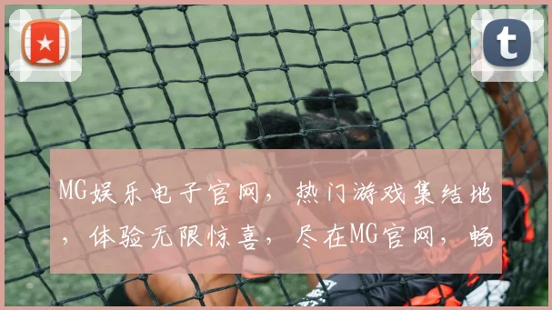 MG娱乐电子官网，热门游戏集结地，体验无限惊喜，尽在MG官网，畅游娱乐世界