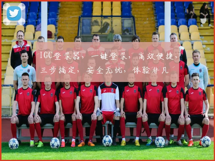 IGC登录器，一键登录，高效便捷，三步搞定，安全无忧，体验非凡