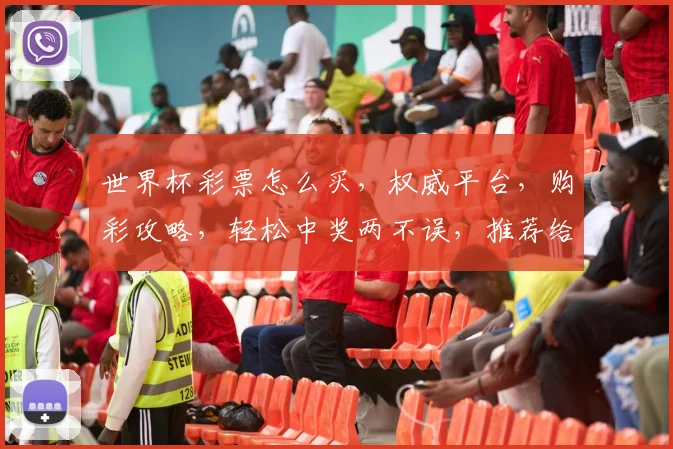 世界杯彩票怎么买，权威平台，购彩攻略，轻松中奖两不误，推荐给好友