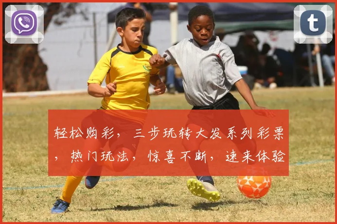轻松购彩，三步玩转大发系列彩票，热门玩法，惊喜不断，速来体验
